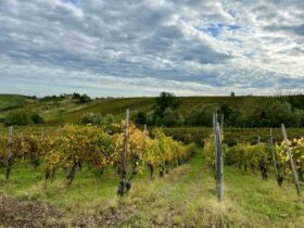 Integrating IoT, AI, And Blockchain For Wine Production Supply Chain ...