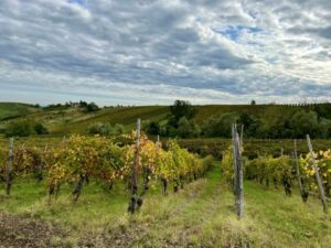 Integrating IoT, AI, And Blockchain For Wine Production Supply Chain ...