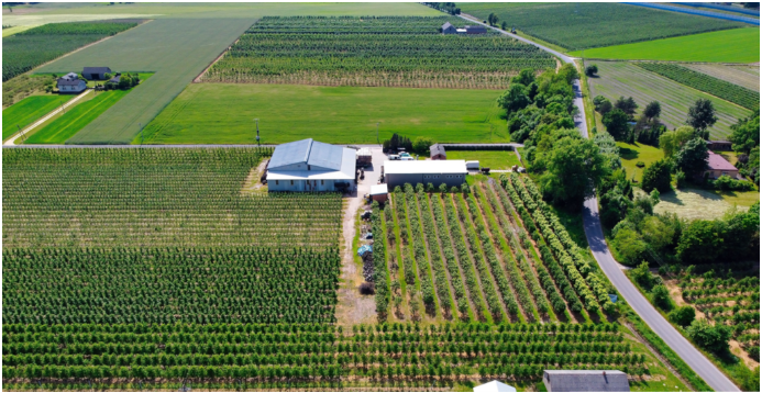 The Wind Orchard: A Digital Pilot in Polish Apple Farming