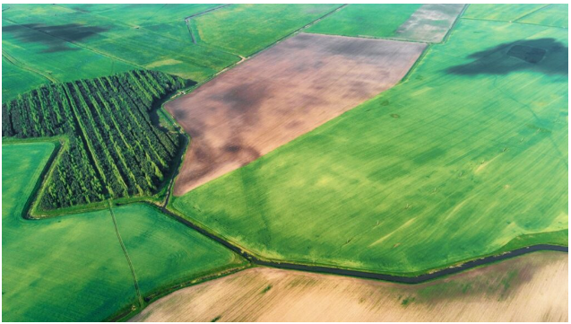 Enhancing Climate Monitoring and Decision Support in Smart Farming