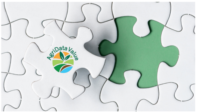 Unlocking the Value of Agricultural Data in Dataspaces