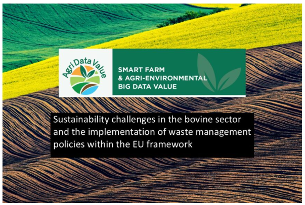 AgriDataValue Publishes a New Study: Sustainability Challenges in the Bovine Sector