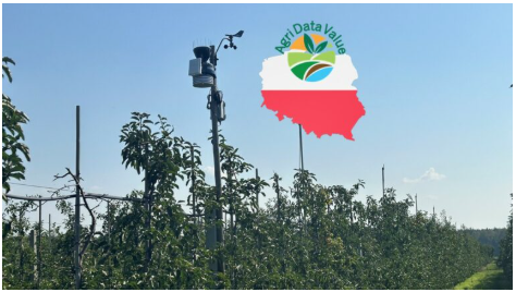 SynField Installation in “Wiatrowy Sad”, Poland