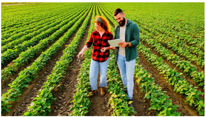 Unlocking Farm Data: The AgriDataValue Approach