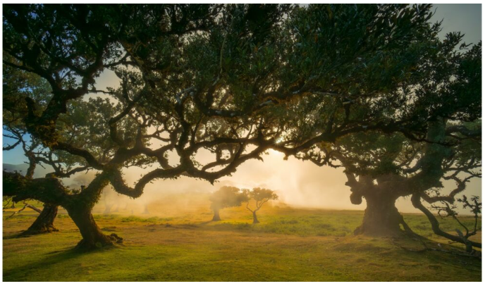 AgriDataValue Italian pilots and CAP implementation